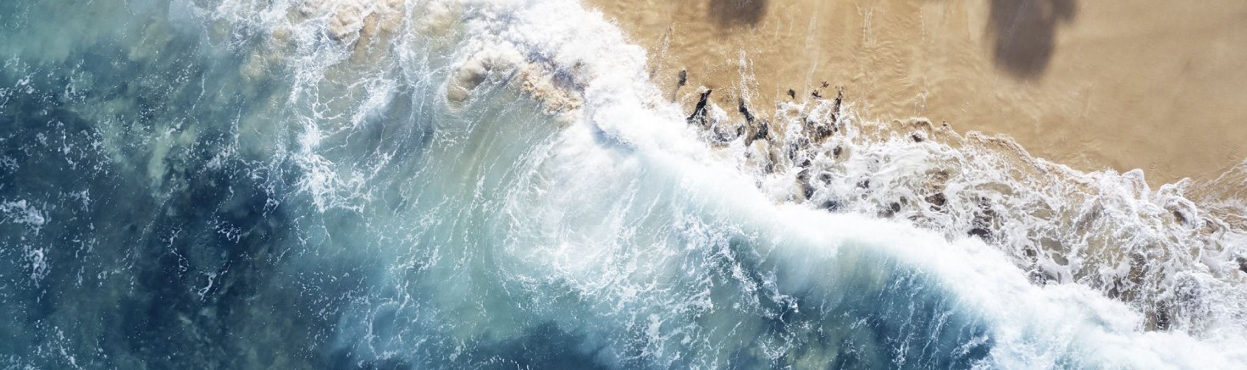 Drew Doggett