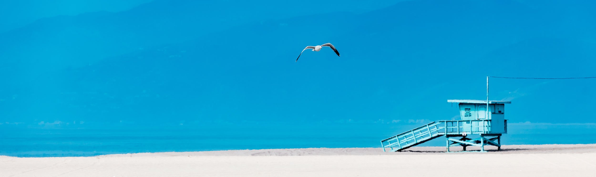 Serge Hamad